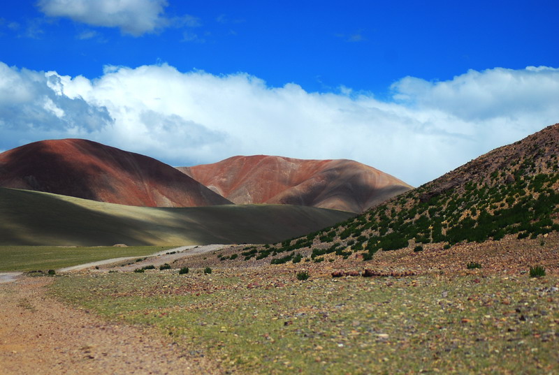 dsc_9194.jpg