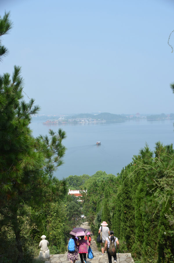dsc_0293.jpg