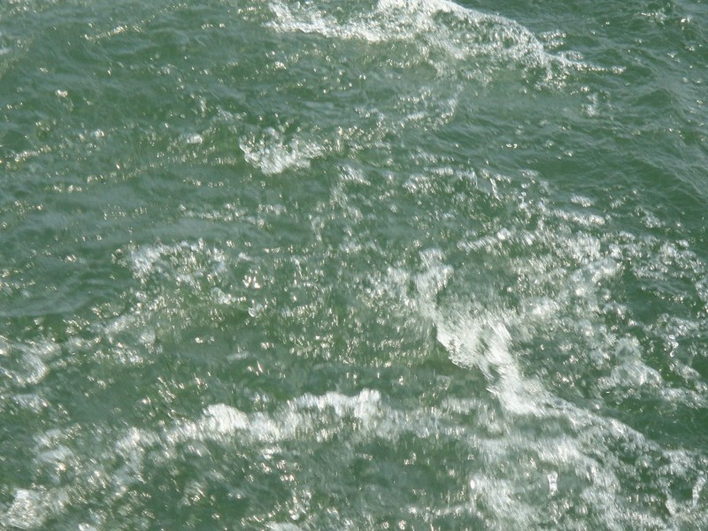 78.jpg