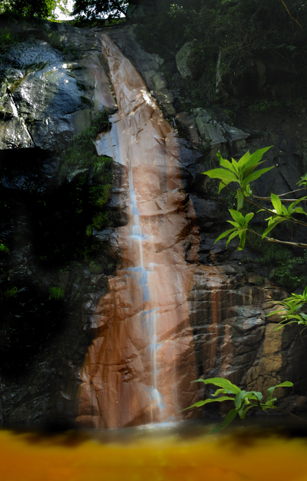 _dsc1680.jpg