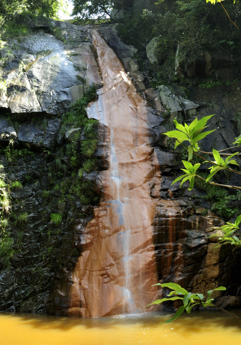 _dsc1681.jpg