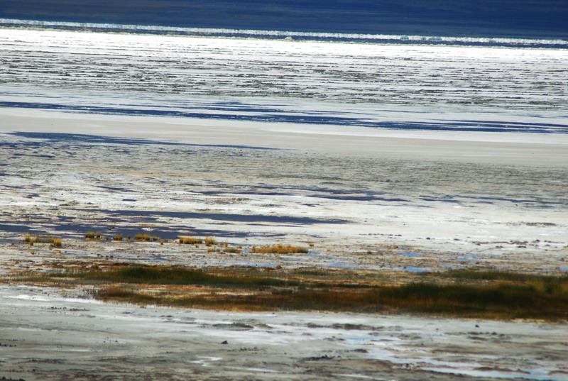 dsc_9345.jpg