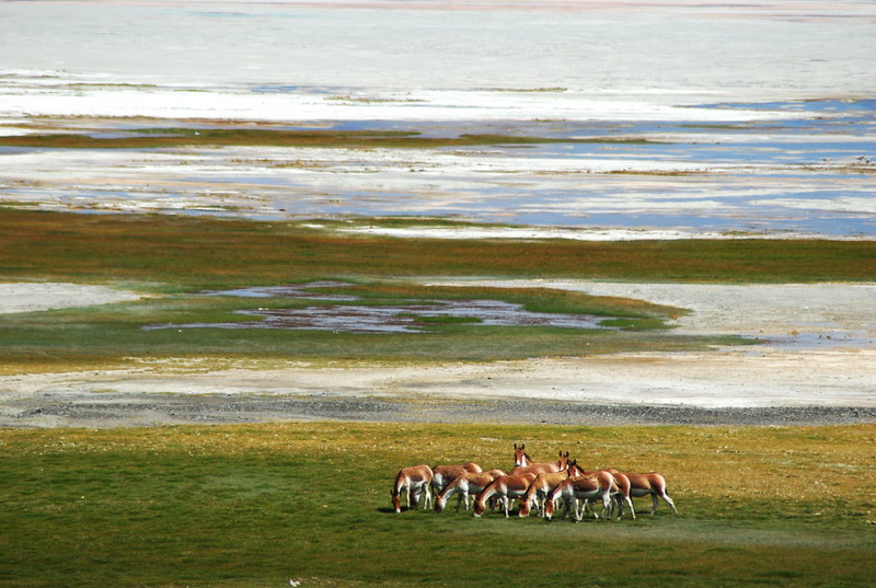 dsc_9422.jpg