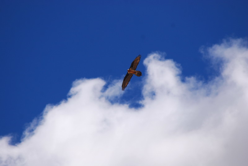 dsc_9427.jpg