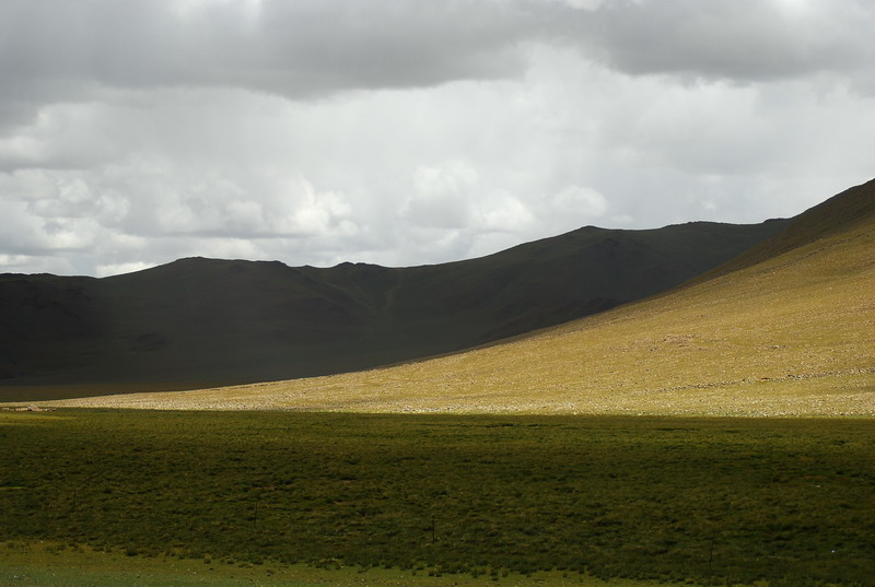 dsc_9463.jpg