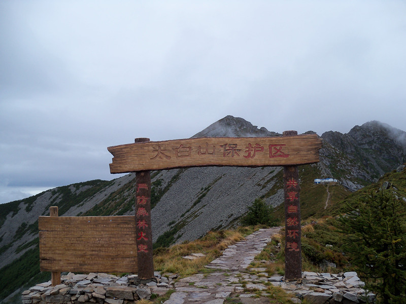100_2963_.jpg
