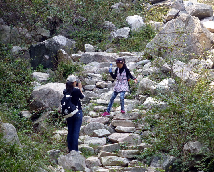 p1110941.jpg