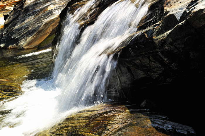 _dsc1879.jpg