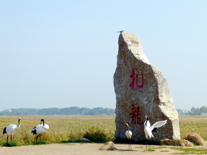 p1120196.jpg