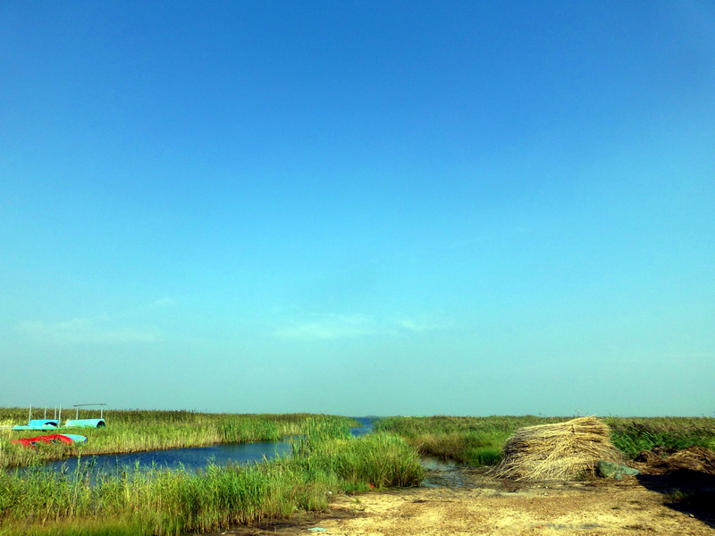 p1120213.jpg