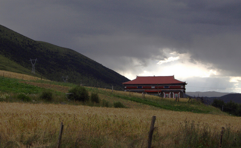 imgp8153a.jpg