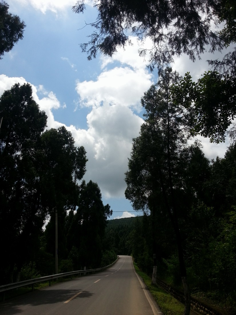 20130809_115551-1.jpg