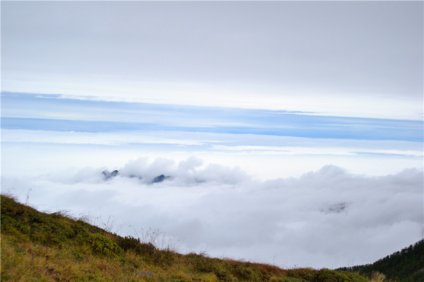 dsc_0149.jpg