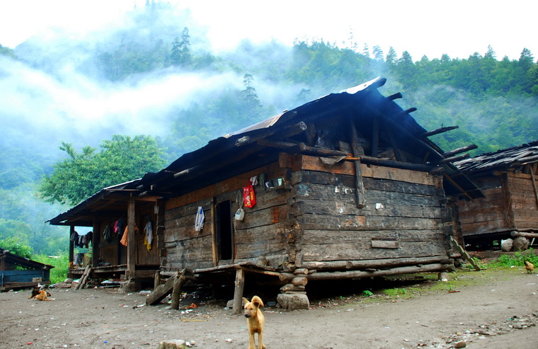 dsc_0603.jpg