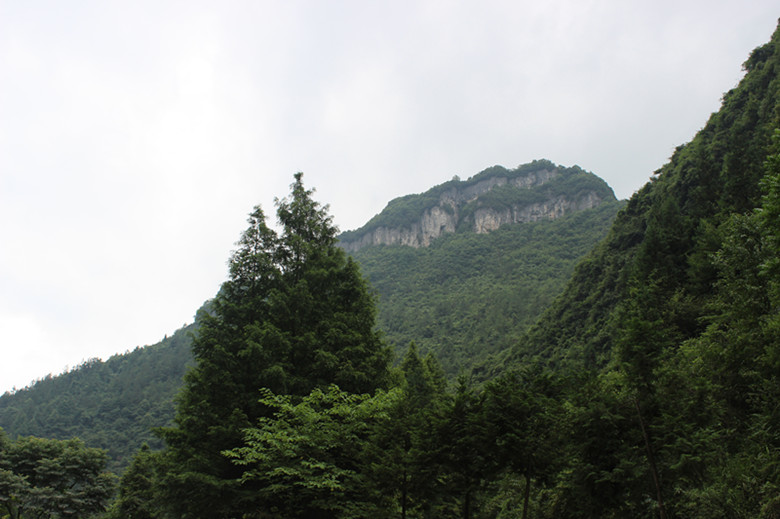 img_2576_.jpg