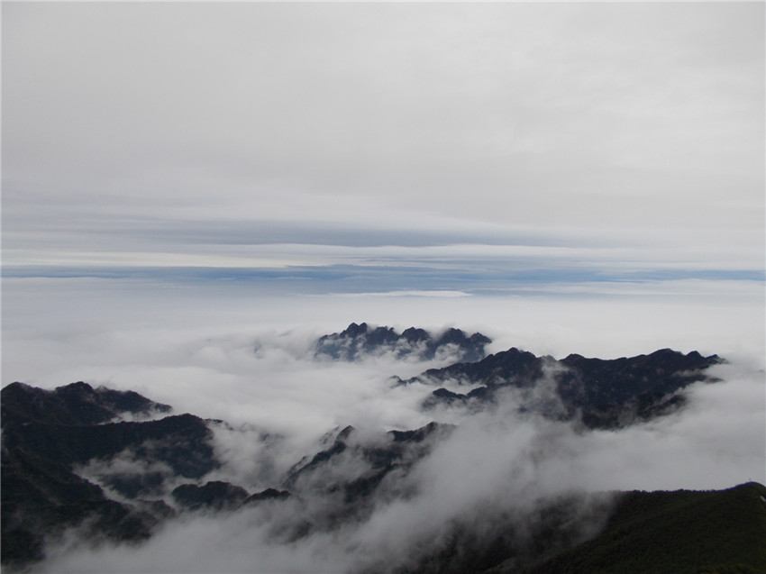 太白山 164.jpg