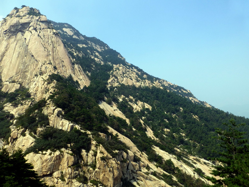 p1110946.jpg