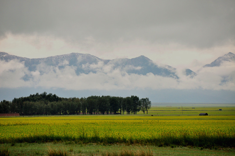dsc_0550.jpg