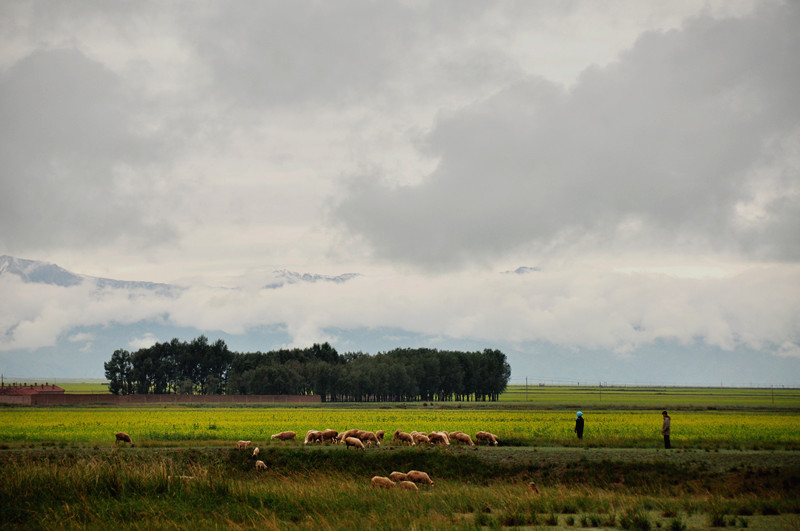 dsc_0568.jpg