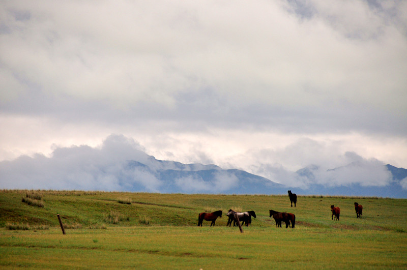 dsc_0633.jpg