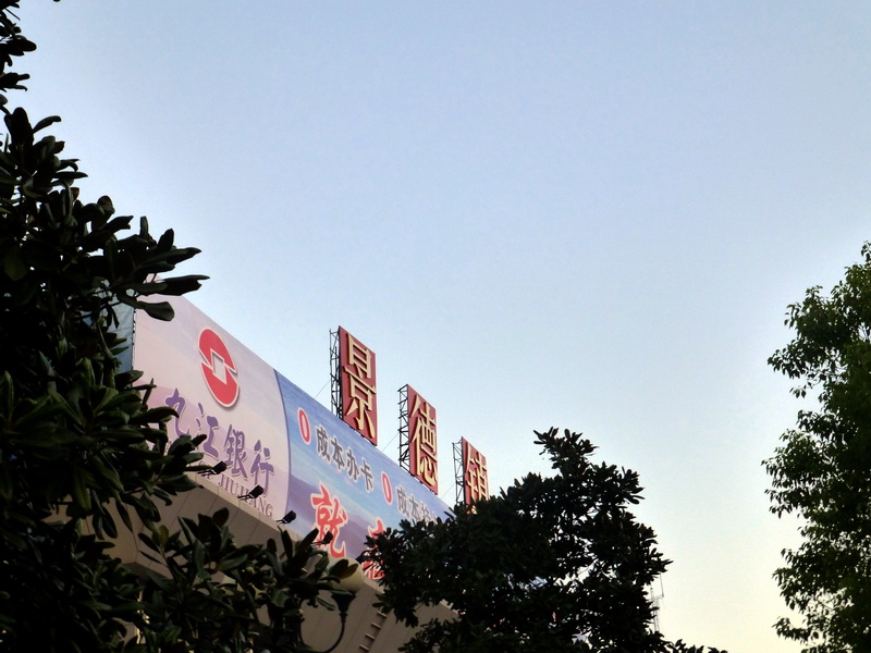 p1120794.jpg