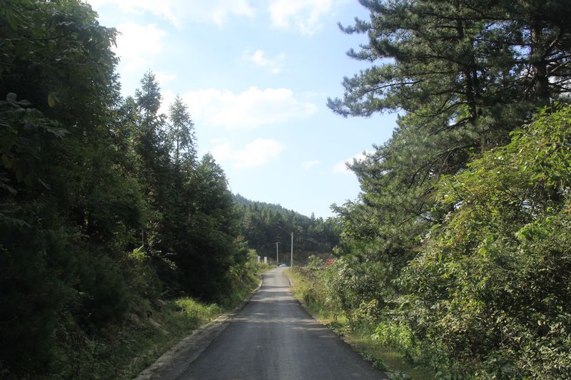 _mg_9876.jpg