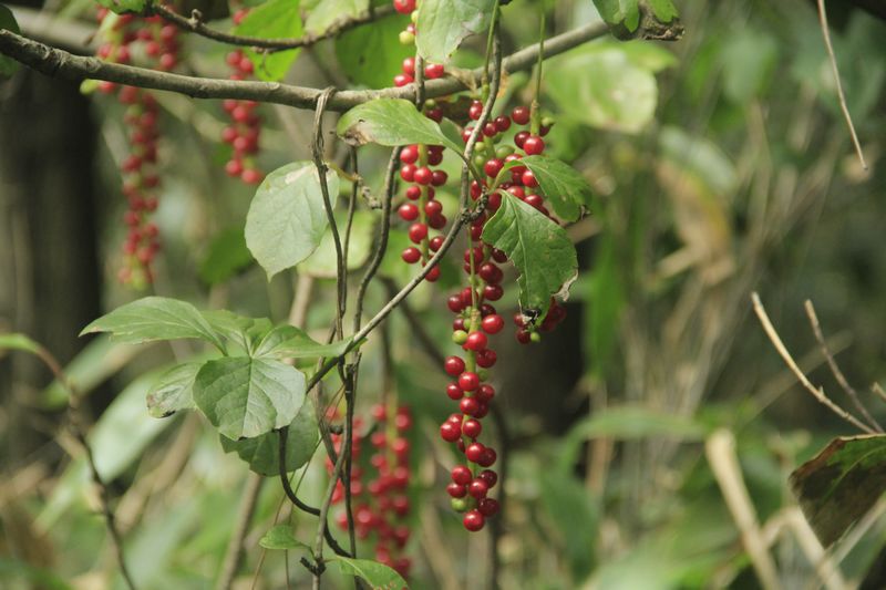 _mg_9880.jpg