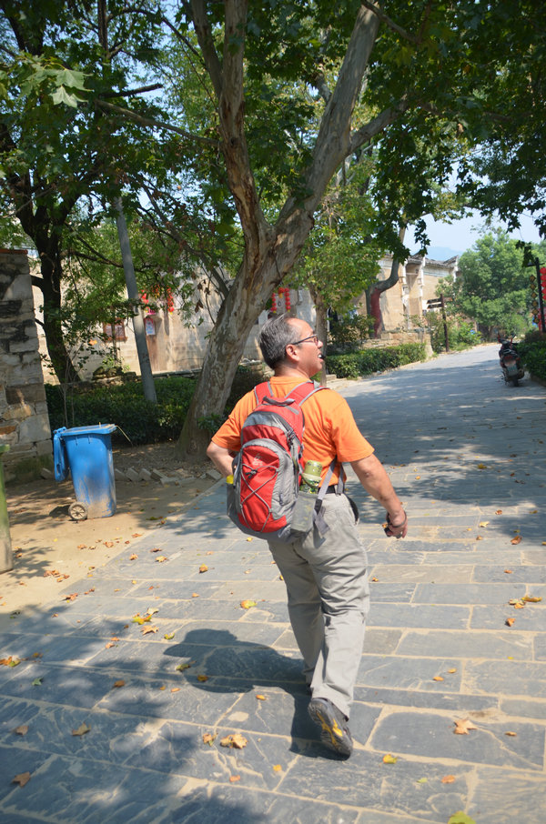 dsc_0330.jpg
