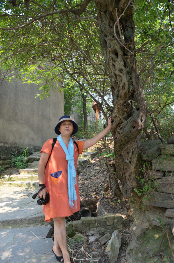 dsc_0344.jpg