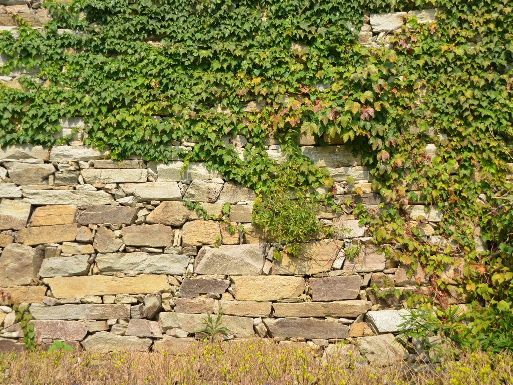 dsc_0592.jpg