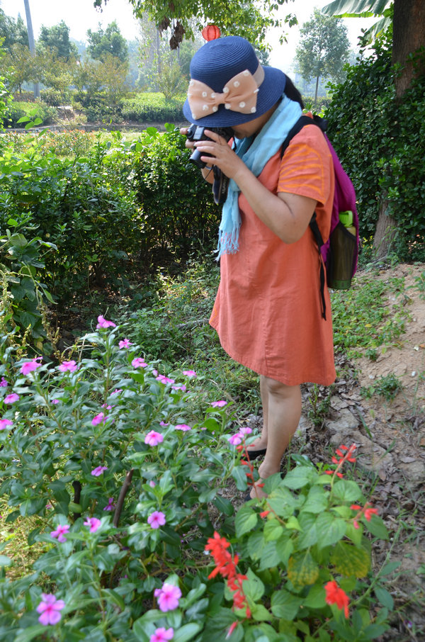 dsc_0213.jpg