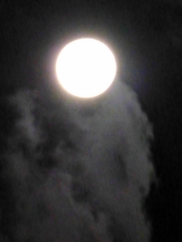 p1120829.jpg