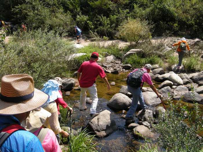 dscn9514.jpg