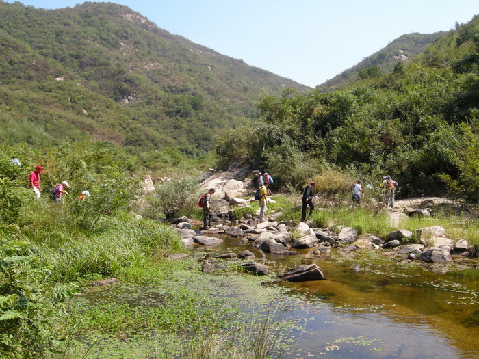 dscn9513.jpg