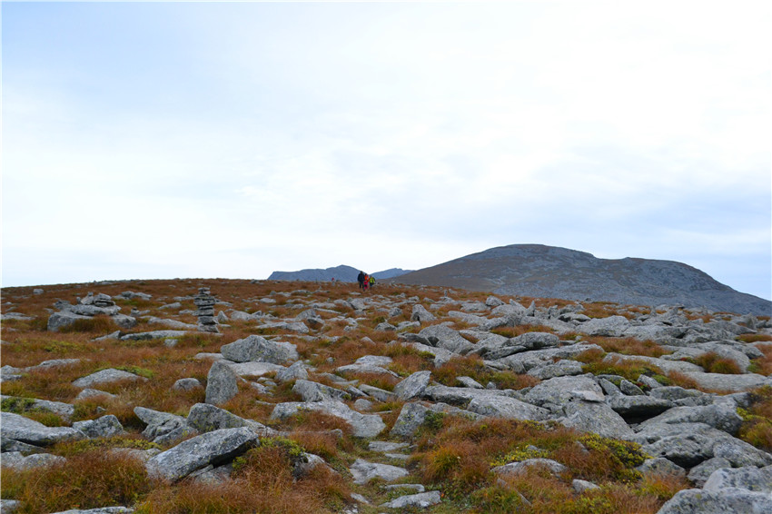 dsc_0387.jpg