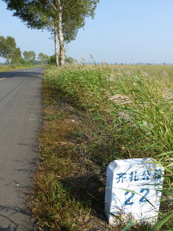 p1120264.jpg