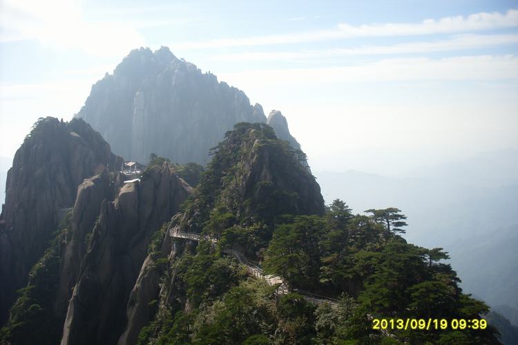 sl384392.jpg