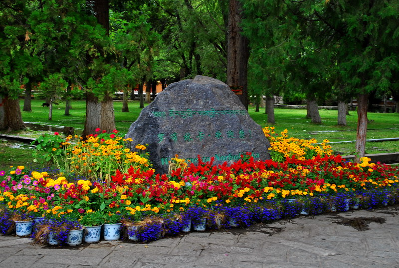 dsc_0694.jpg