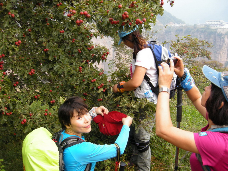 dscn9895.jpg