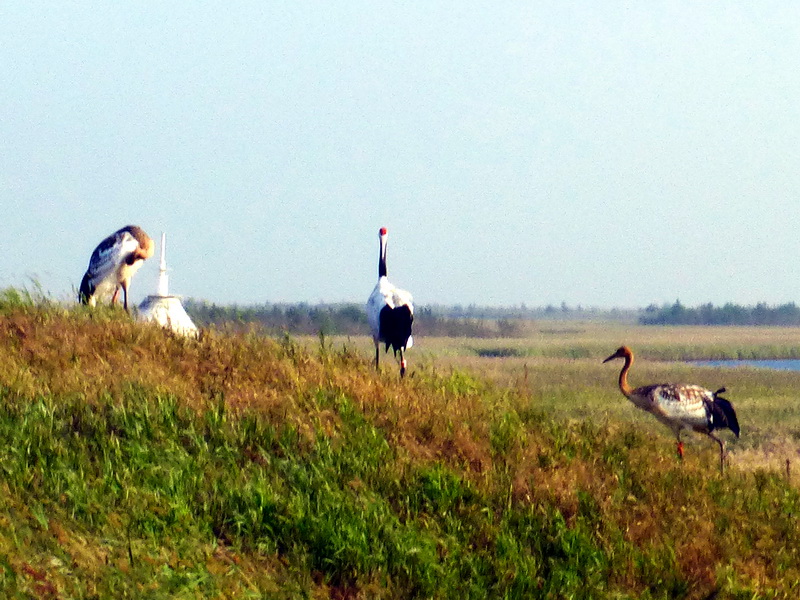 p1120358.jpg