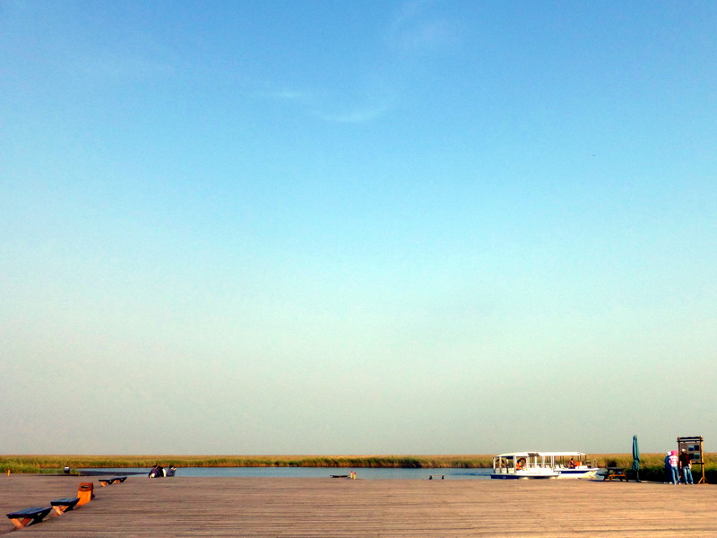 p1120383.jpg