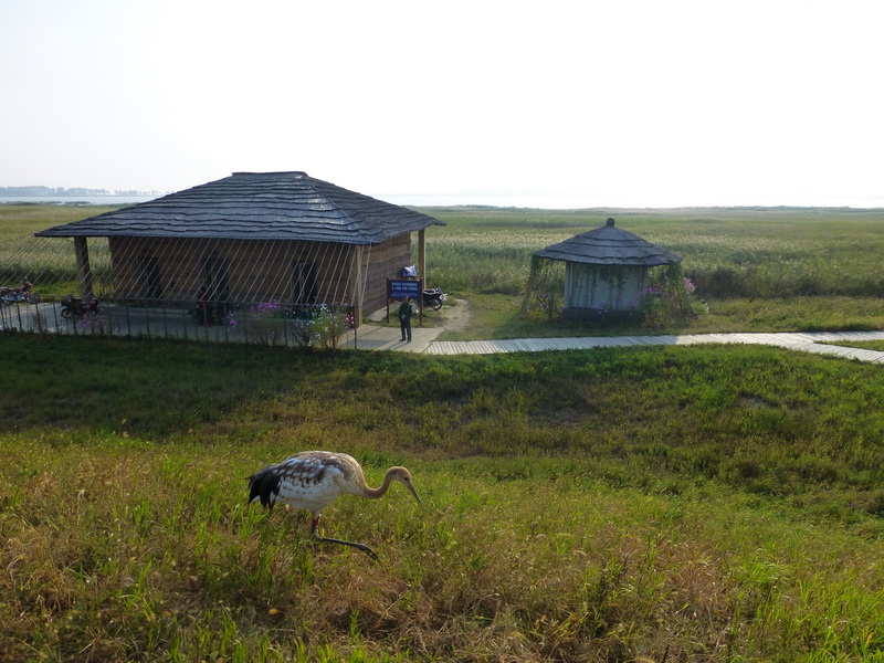 p1120392.jpg