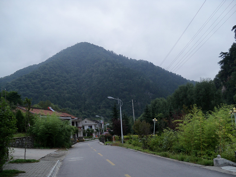100_3119_.jpg