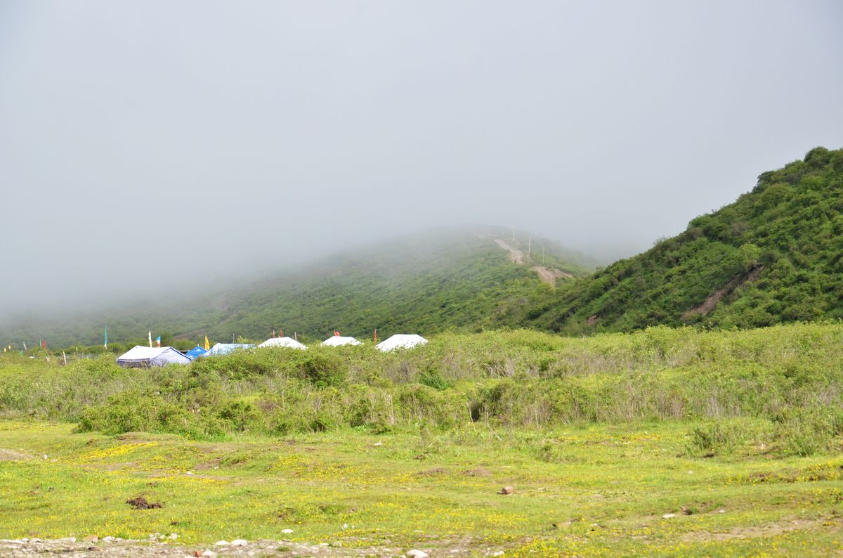 neo_img_dsc_4536.jpg