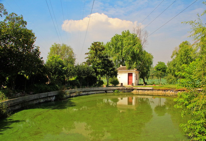 img_8628_СС.jpg