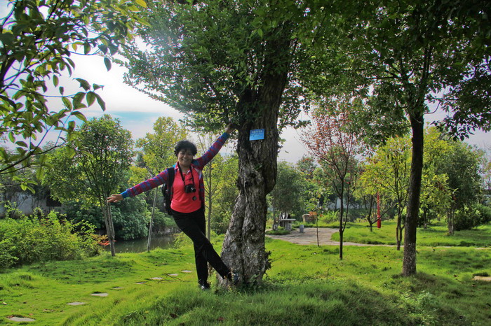 img_8601_СС.jpg