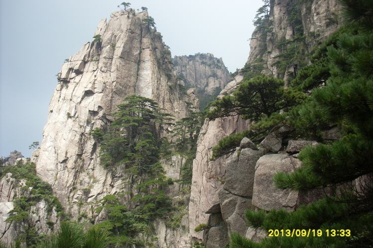 sl384494.jpg