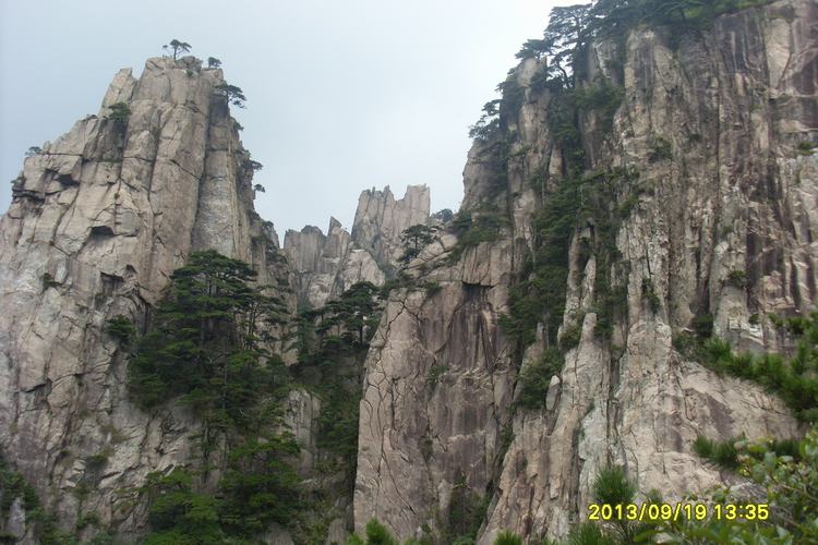 sl384500.jpg