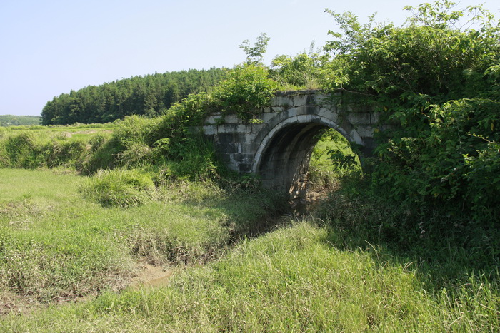 _mg_0070_С.jpg