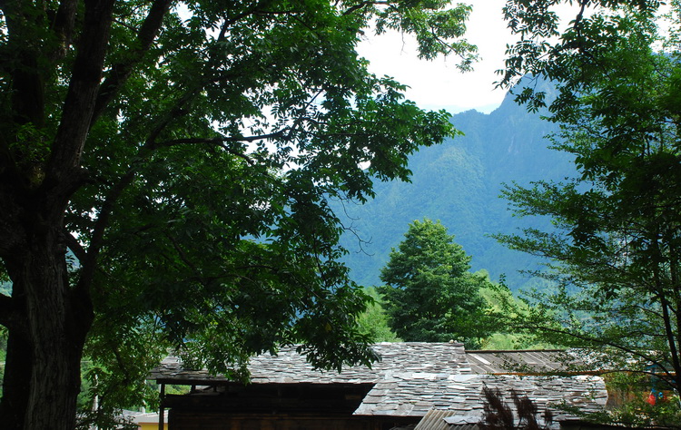 dsc_0741.jpg